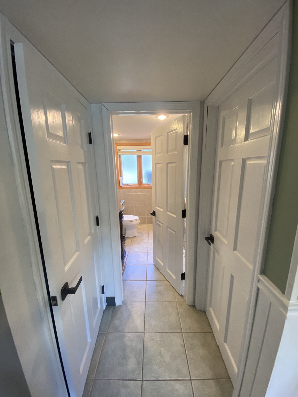 Finished hallway with white painted doors and trim and dark door handles